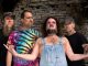 NEW ALBUM FROM HAYSEED DIXIE: "HAIR DOWN TO MY GRASS"