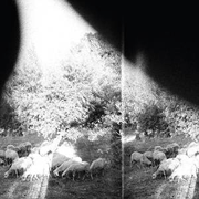 Godspeed You Black Emperor – Asunder Sweet And Other Distress (Constellation)