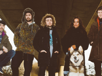 TRACK OF THE DAY - ZEFUR WOLVES - 'TROUBLED SOUL':  Exclusive 1st listen