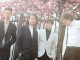 TRACK OF THE DAY: SPECTOR - ‘KYOTO GARDEN’, Watch Video