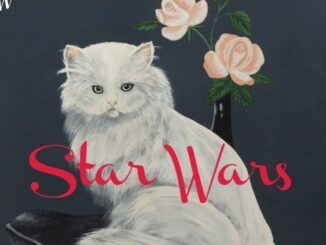 ALBUM REVIEW: WILCO - STAR WARS