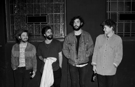REVIEW: HABITATS - JUNGLES EP 