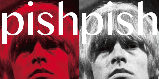ALBUM REVIEW: BRIAN JONESTOWN MASSACRE - THINGY WINGY 