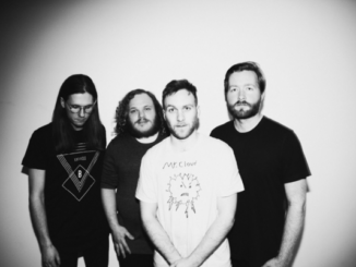 TRACK OF THE DAY: STONE COLD FOX - 'MORNING LIGHT' 84 TRACK OF THE DAY: STONE COLD FOX - 'MORNING LIGHT'