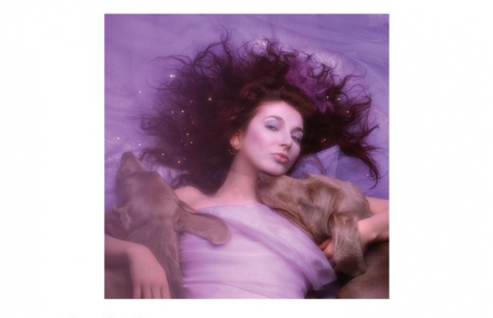 Classic Album: Kate Bush - Hounds of Love 