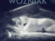Album Review: WOZNIAK - 'Courage Reels'