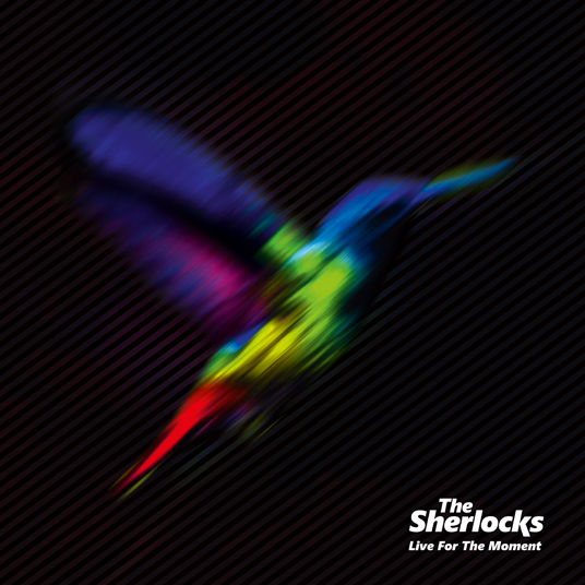 THE SHERLOCKS release new video & announce debut album 85 sherlocks_liveforthemoment_RGB