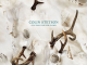 Album Review: COLIN STETSON – All This I Do For Glory