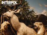 INTERPOL announce 'Our Love To Admire' - 10th Anniversary Edition 2