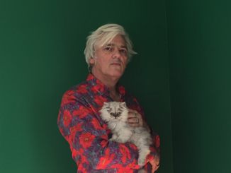 ROBYN HITCHCOCK Announces more solo shows for 2018! 2