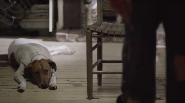 DEERHUNTER Announce UK and European tour dates 