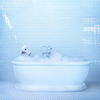 ALBUM REVIEW: Frankie Cosmos - 'Vessel' 