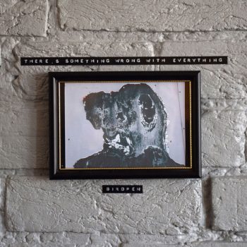 ALBUM REVIEW: Birdpen -There’s Something Wrong With Everything 