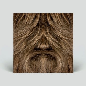 SUPER FURRY ANIMALS at the BBC to be released as deluxe vinyl box set 1