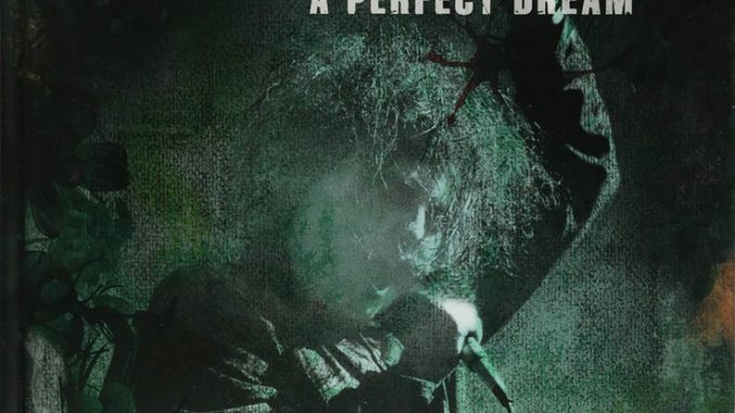 BOOK REVIEW The Cure A Perfect Dream By Ian Gittins XS