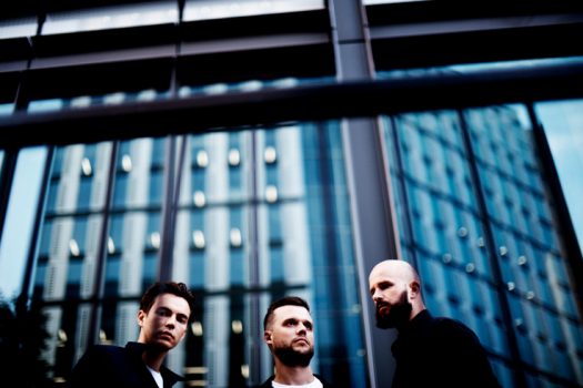 WHITE LIES share 