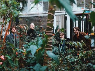 THE BE POSITIVES debut with ‘70s inspired mad-pop single ‘Monkey (Cheetah)’ - Watch Video 104 THE BE POSITIVES debut with ‘70s inspired mad-pop single ‘Monkey (Cheetah)’ - Watch Video