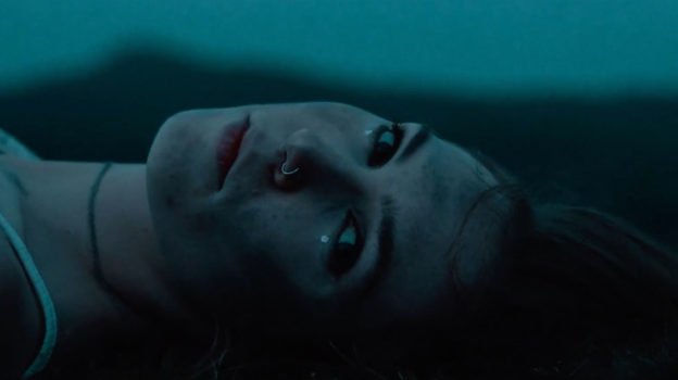 VIDEO PREMIERE: Firewoodisland - 'Hollow Coves' - Watch Now 