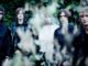 TOY share Stooges cover 'Down On The Street' and announce Independent Venue Week shows