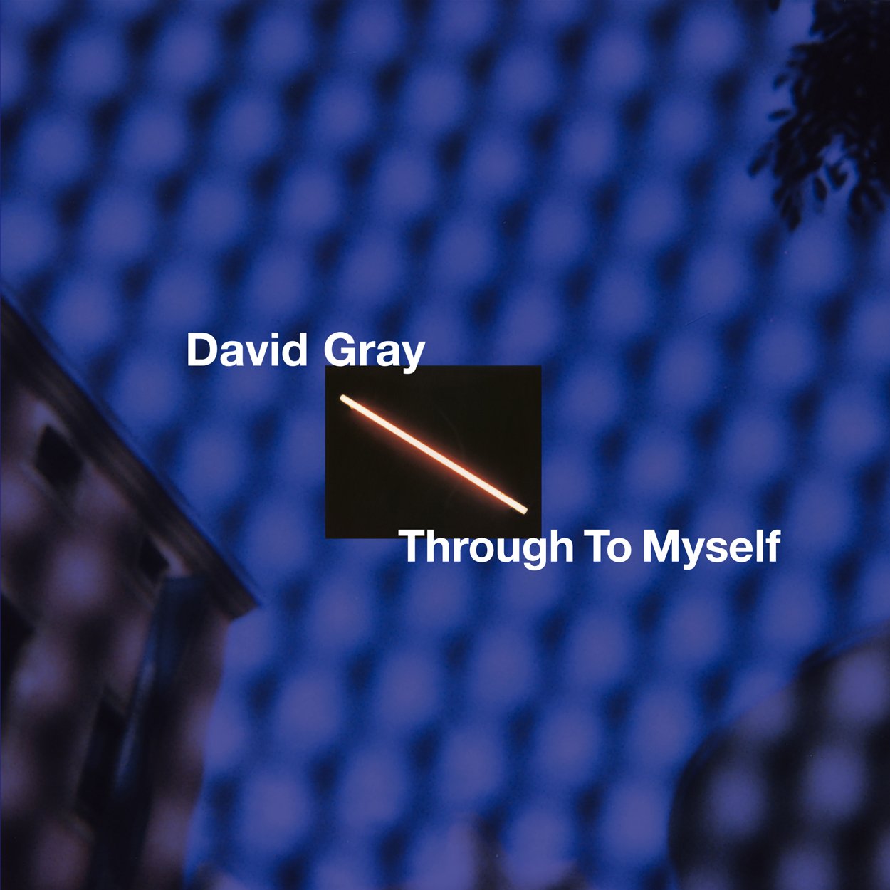 DAVID GRAY releases the track ‘Through To Myself’ from 20th-anniversary edition of White Ladder 