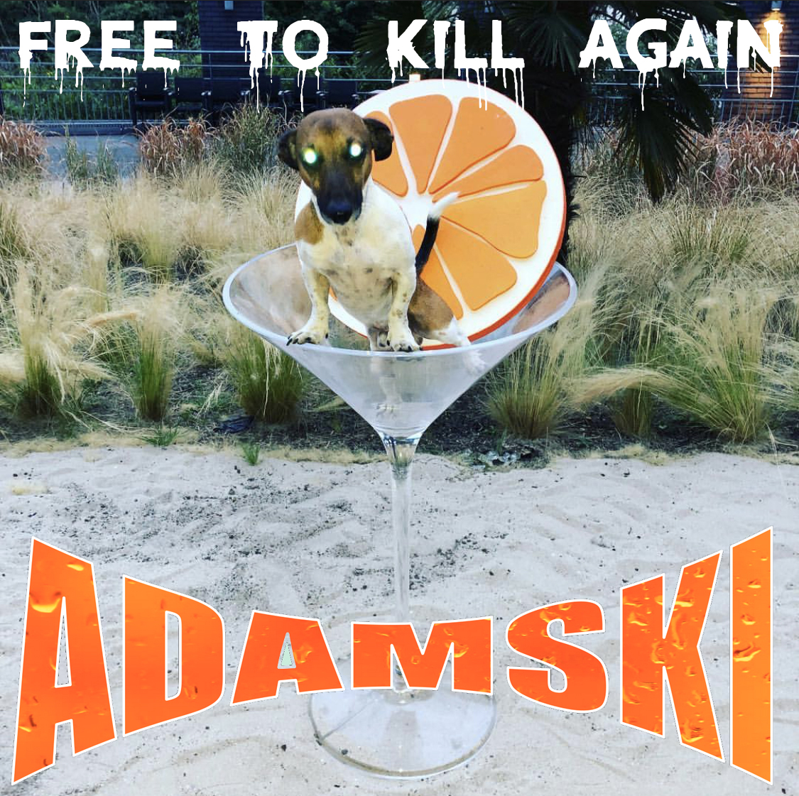 TRACK PREMIERE: ADAMSKI feat. NINA HAGEN "DON’T KILLER ANIMALS” 1