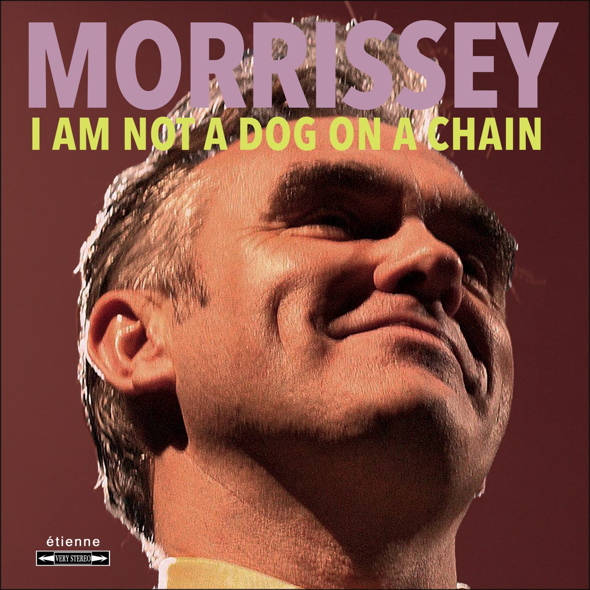 Image result for morrissey i am not a dog on a chain