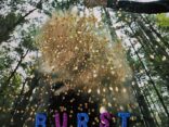 ALBUM REVIEW: Snarls - Burst