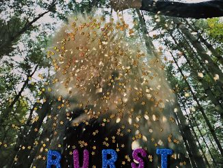 ALBUM REVIEW: Snarls - Burst