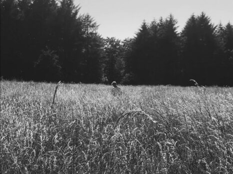 Scottish artist JACK STARK shares captivating new single 'As Feathers' - Listen! 