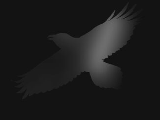 ALBUM REVIEW: Sigur Rós - Odin’s Raven Magic