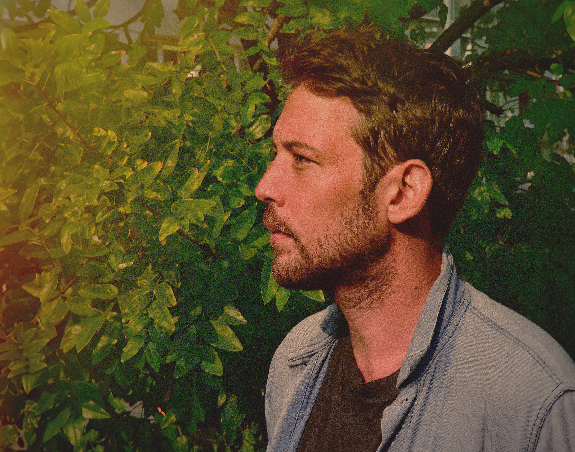 FLEET FOXES release video for 'I'm Not My Season' - Watch Now! 