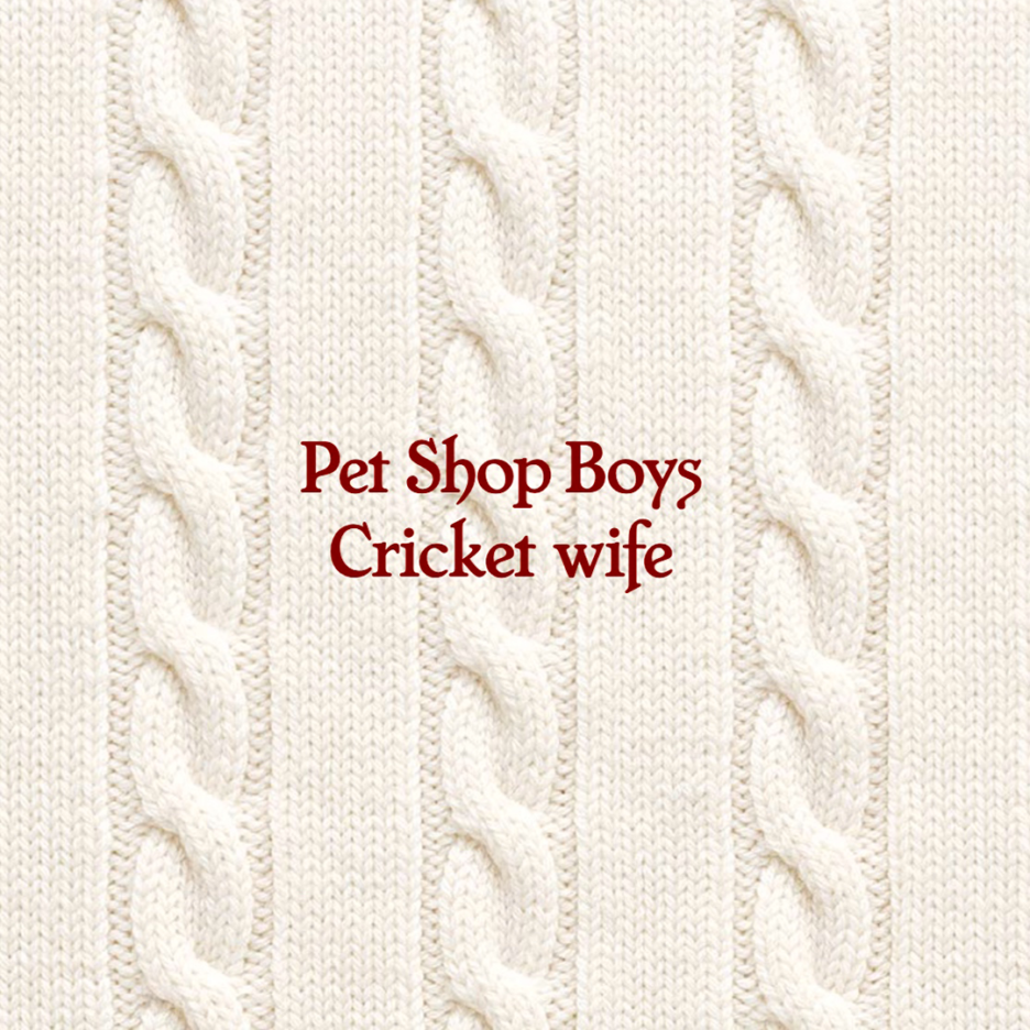PET SHOP BOYS announce the release of their brand new track ‘Cricket Wife’ on May 7th 2