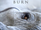 ALBUM REVIEW: Lisa Gerrard and Jules Maxwell – Burn