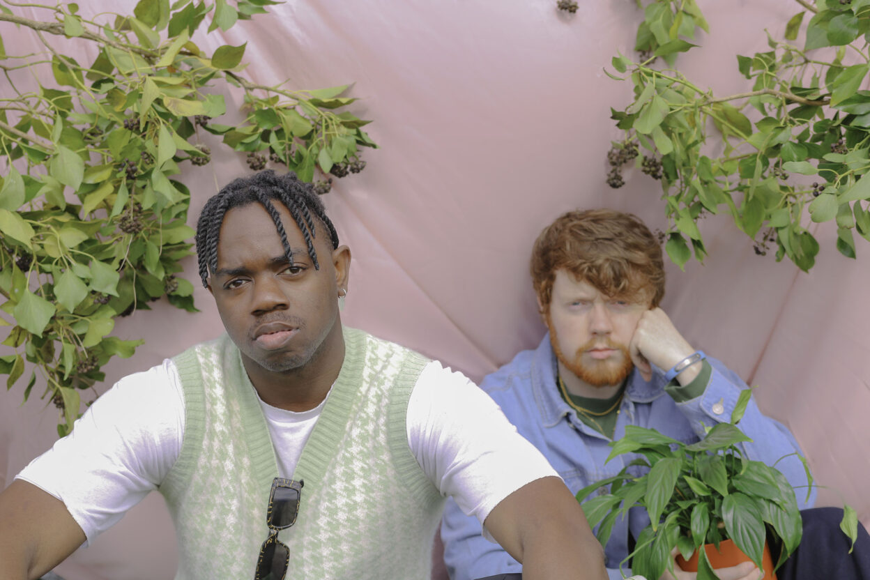Irish duo Tebi Rex team up with ROE for 'Hanging With Trees' 