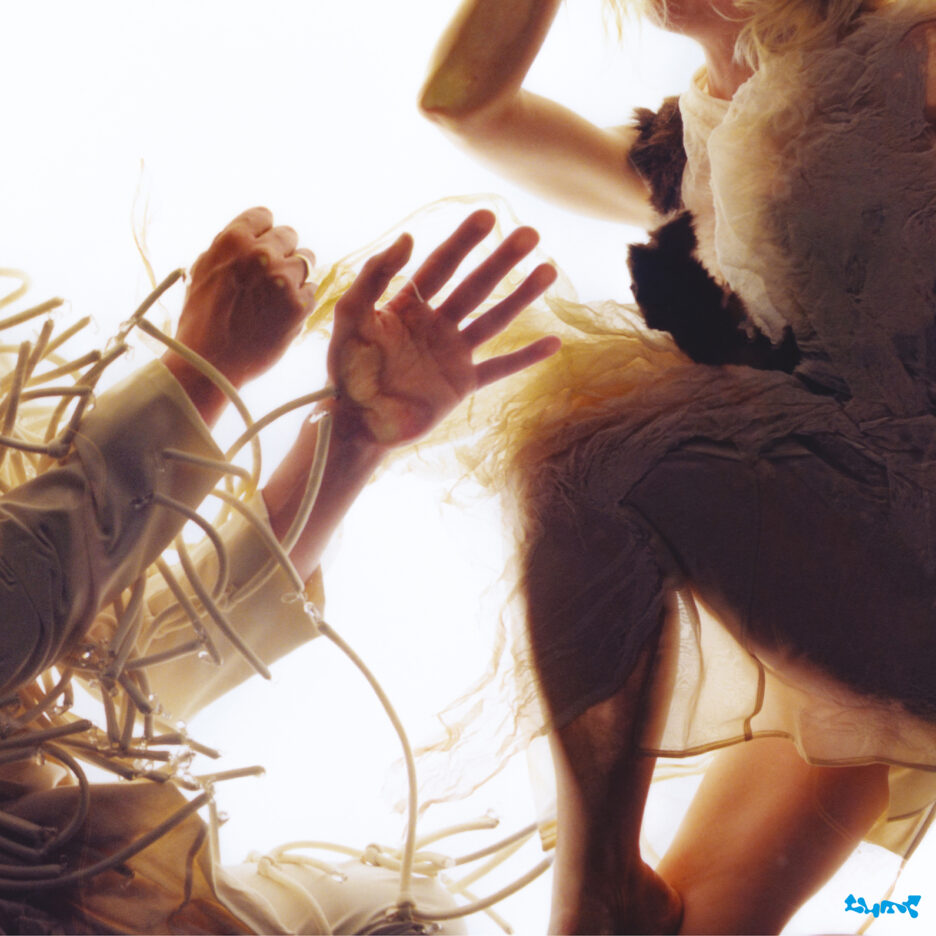 ALBUM REVIEW: LUMP - Animal 