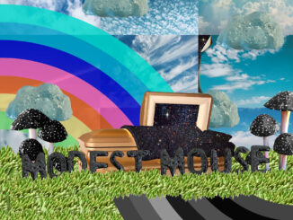 ALBUM REVIEW: Modest Mouse - The Golden Casket 101 ALBUM REVIEW: Modest Mouse - The Golden Casket