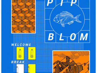 ALBUM REVIEW: Pip Blom – Welcome Break