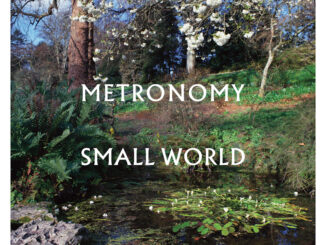 ALBUM REVIEW: Metronomy - Small World