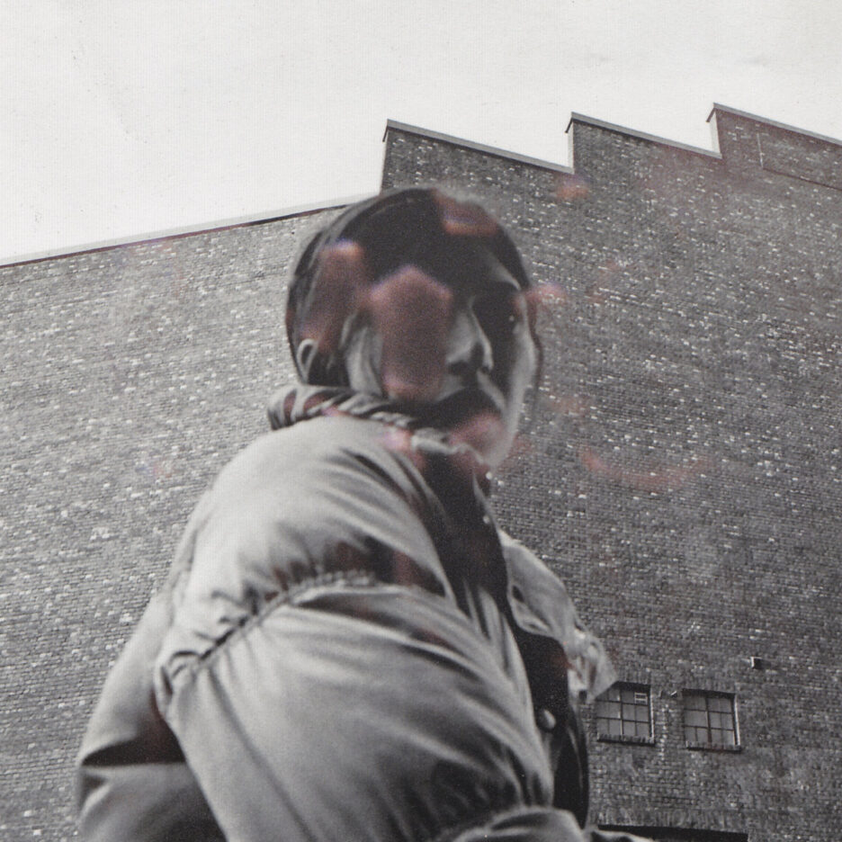 ALBUM REVIEW: Aldous Harding - Warm Chris 