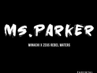 VIDEO PREMIERE: Zeus Rebel Waters ft WINACHI - MS PARKER (PT1 & PT2) 83 Zeus Rebel Waters ft WINACHI