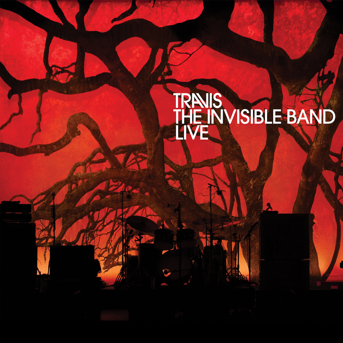 The Invisible Band (Live)