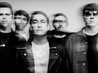 THE PIGEON DETECTIVES release the video for latest single 'Summer Girl' 82 The Pigeon Detectives