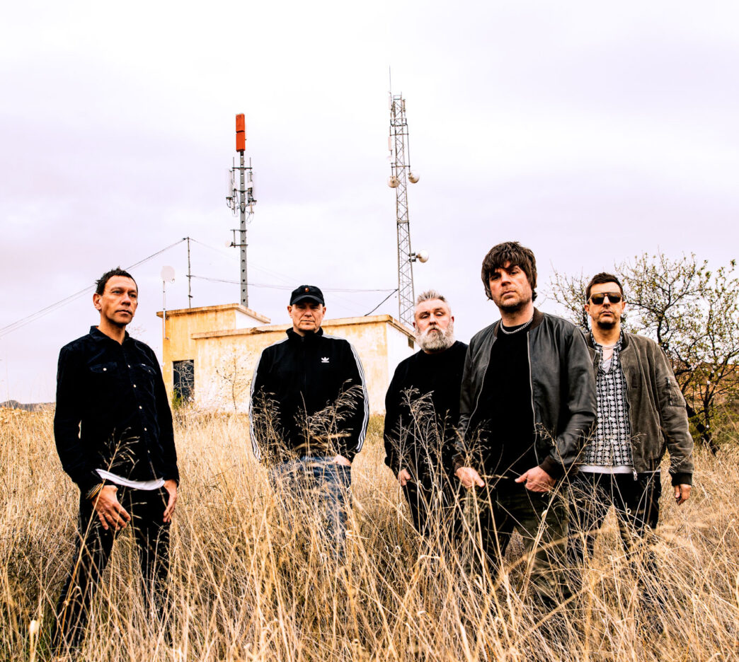 shed seven