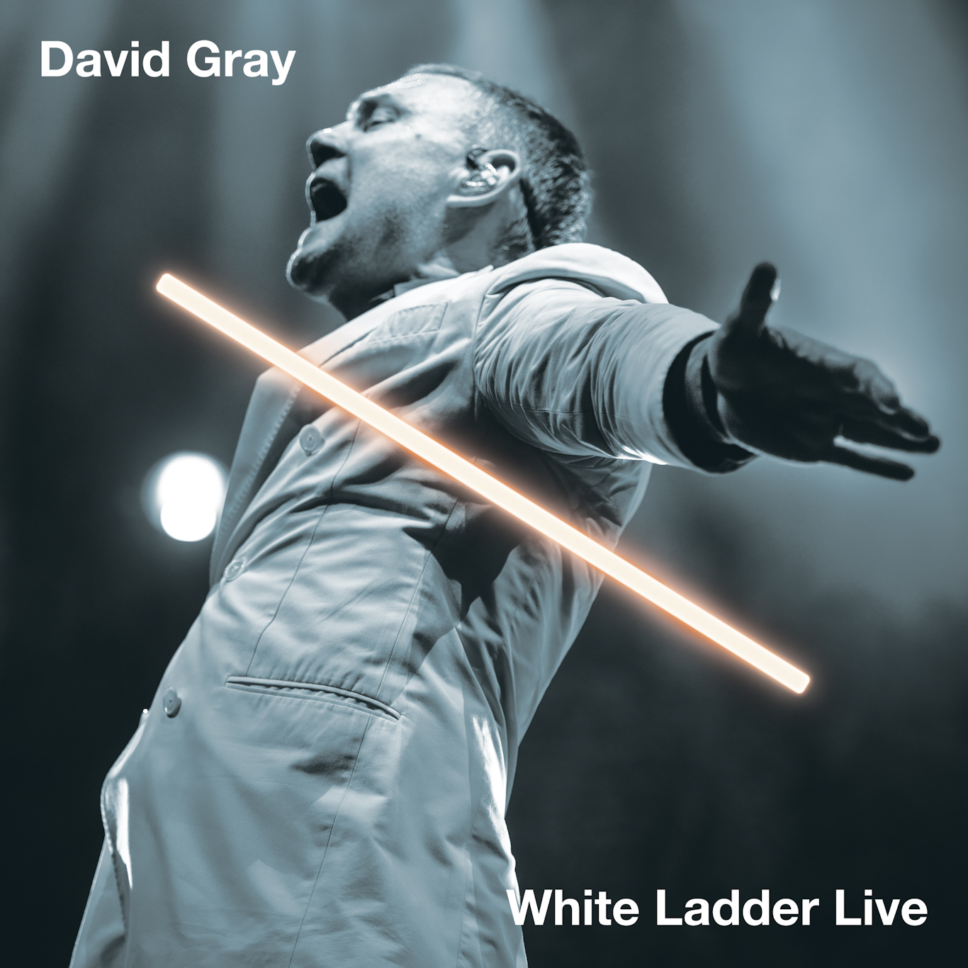 White Ladder Live