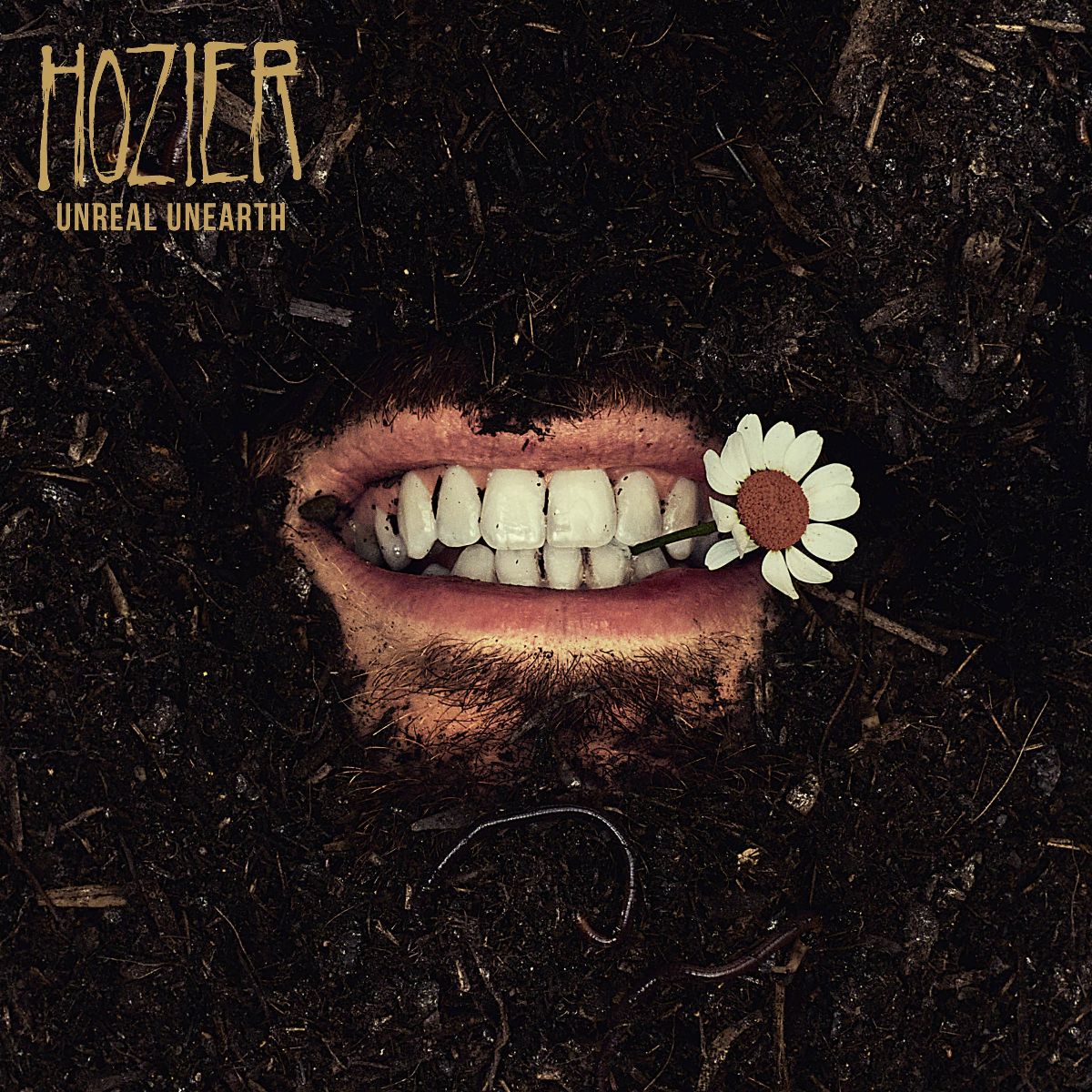ALBUM REVIEW: Hozier – Unreal Unearth
