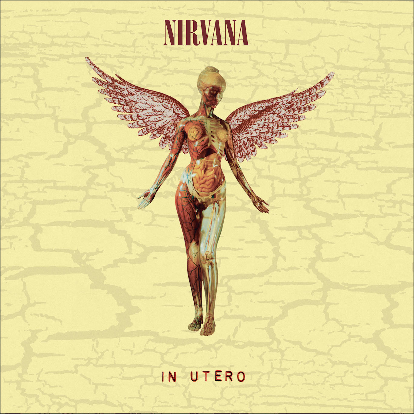 IN UTERO: 30TH ANNIVERSARY