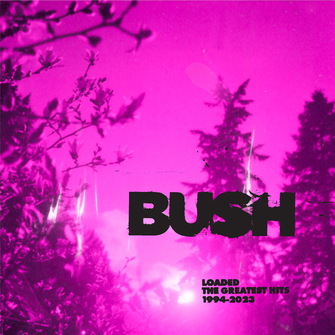 BUSH announce the release of 'Loaded: The Greatest Hits 1994-2023' 81 bush