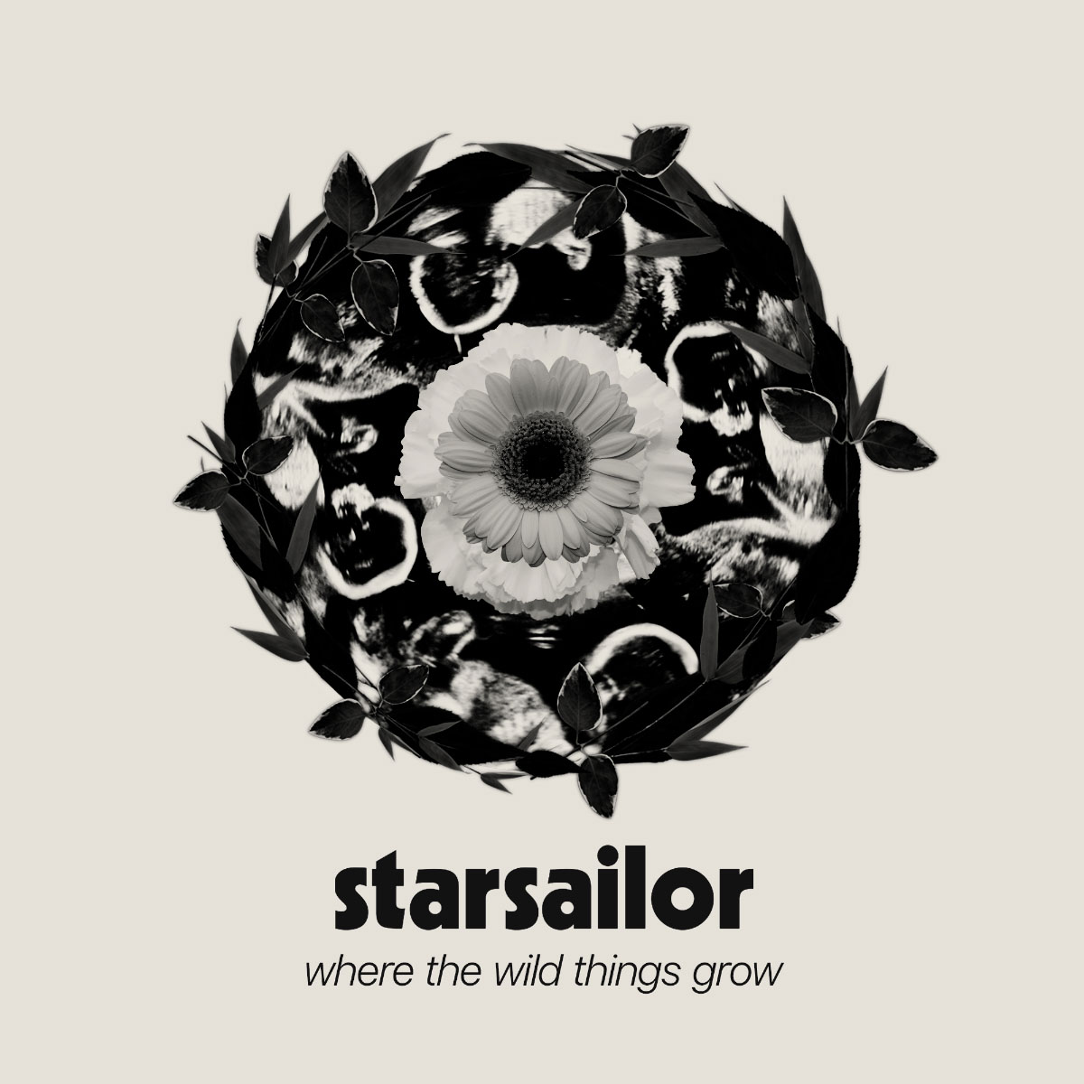 Starsailor