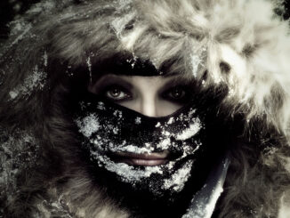 KATE BUSH to release her album catalogue in new physical formats 81 Kate Bush