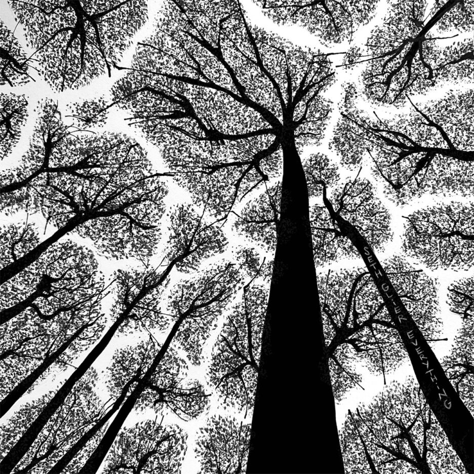 Seth Glier
